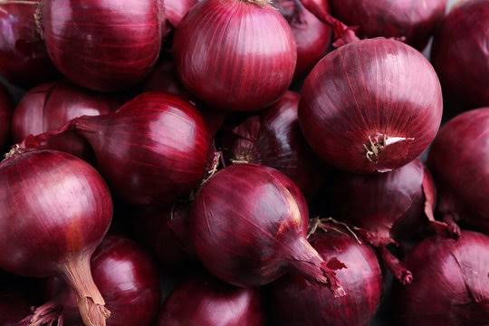 Our mission is to deliver high-quality onions from India to international markets, ensuring freshness, durability, and customer satisfaction at every step